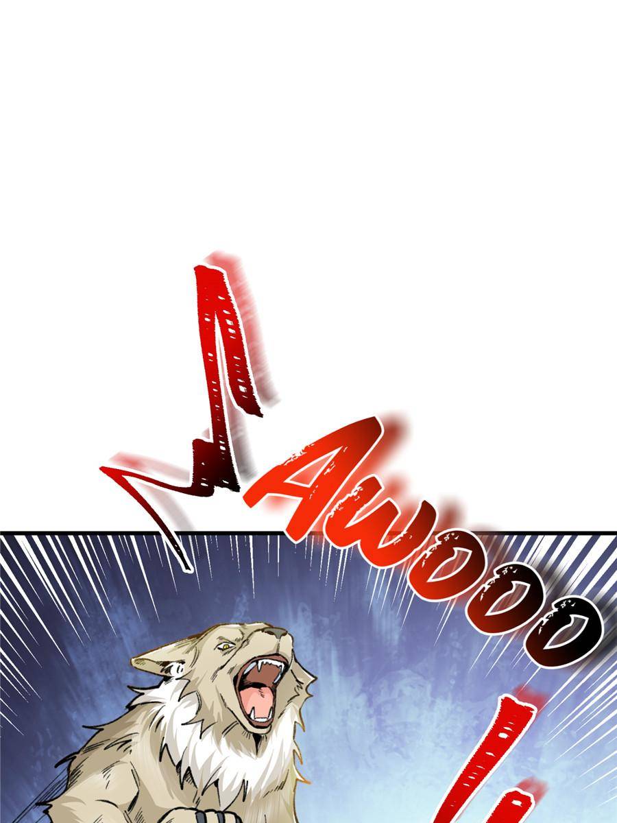 80204621 900 1200 95480